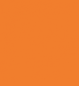 C.460 оранжевый