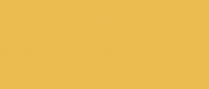 40YY 58/565
