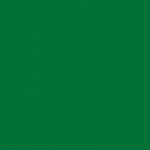 Зелёная мята RAL 6029