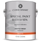 Color Smart CS 621 Special Paint Bath & Spa Краска матовая на водной основе для ванных и парных