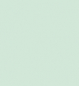 C.540 зеленый шалфей