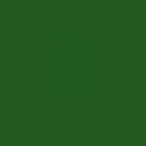 Зелёный лист RAL 6002