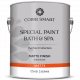 Color Smart CS 621 Special Paint Bath & Spa Краска матовая на водной основе для ванных и парных